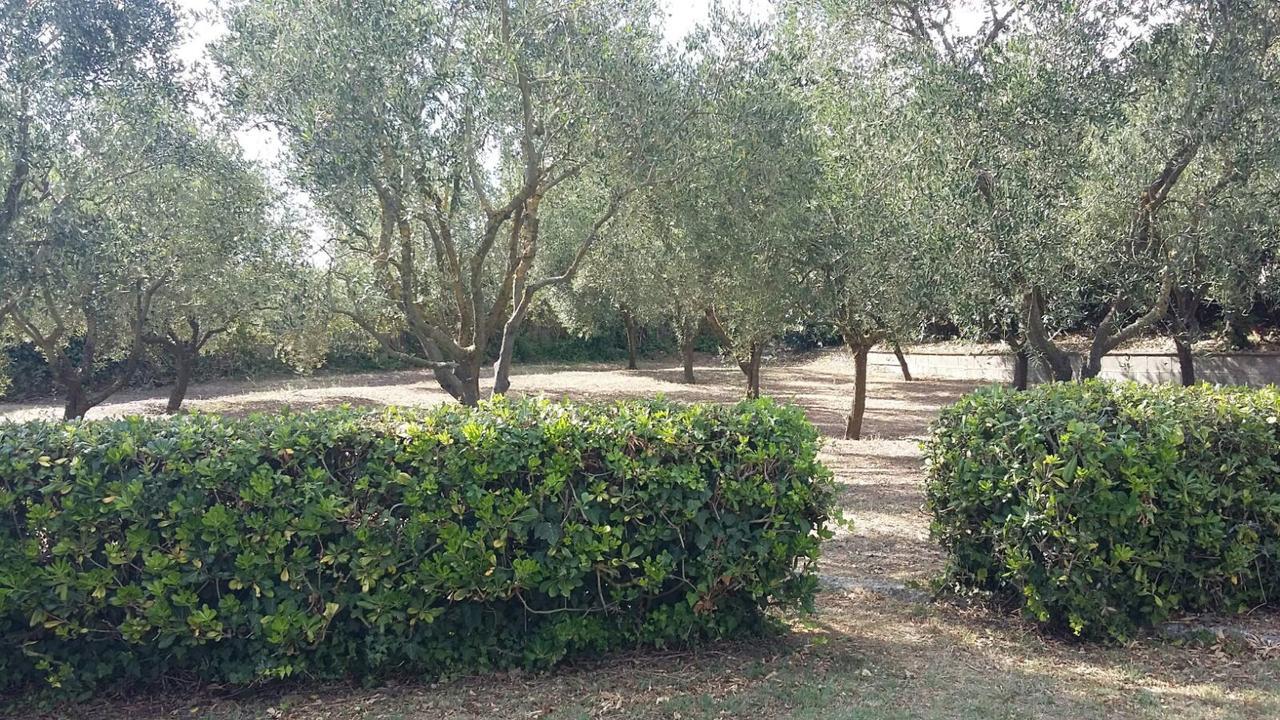 מסה לוברנסה Corinna מראה חיצוני תמונה